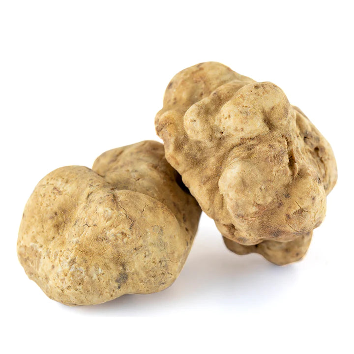 Tartufo Bianco Pregiato